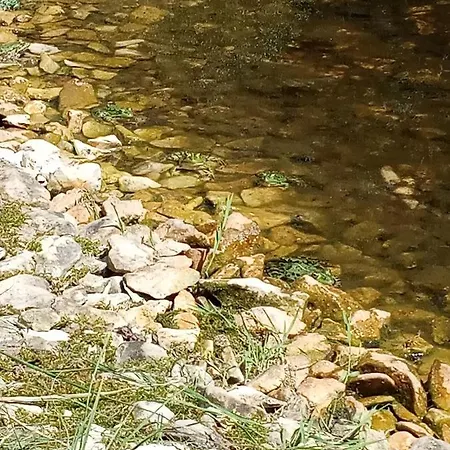 Echappee Sauvage Luksustelt Masquieres