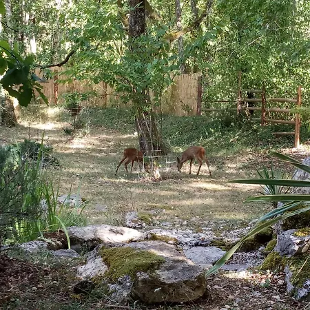 Echappee Sauvage Luksustelt Masquieres
