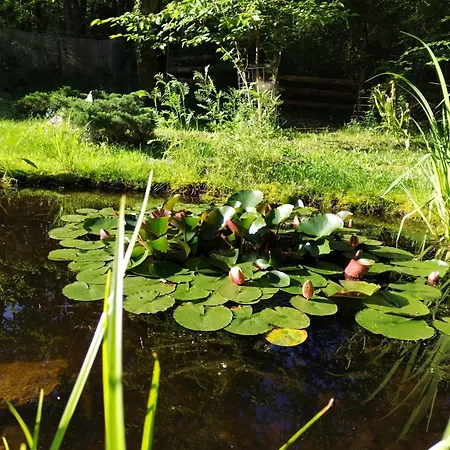 Echappee Sauvage * Masquieres