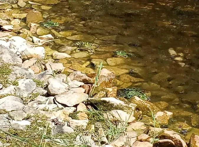 Echappee Sauvage 豪华帐篷 Masquieres