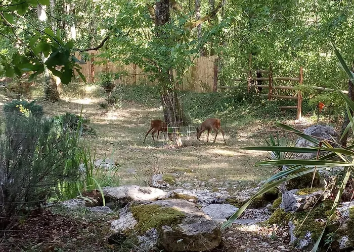 Echappee Sauvage 豪华帐篷 Masquieres