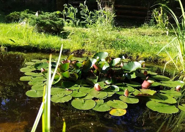 Echappee Sauvage * Masquieres